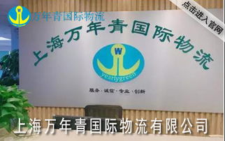 上海國際集裝箱海運代理 裝卸搬運的關鍵作用與專業(yè)實踐